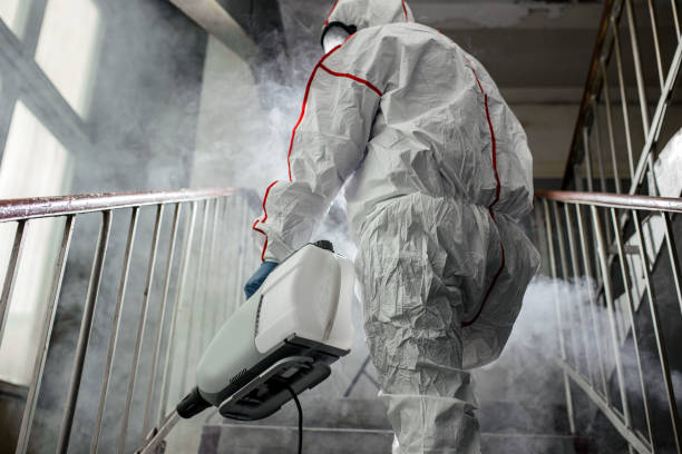 Why You Should Choose Our Mold Remediation Services in Winter Beach, FL